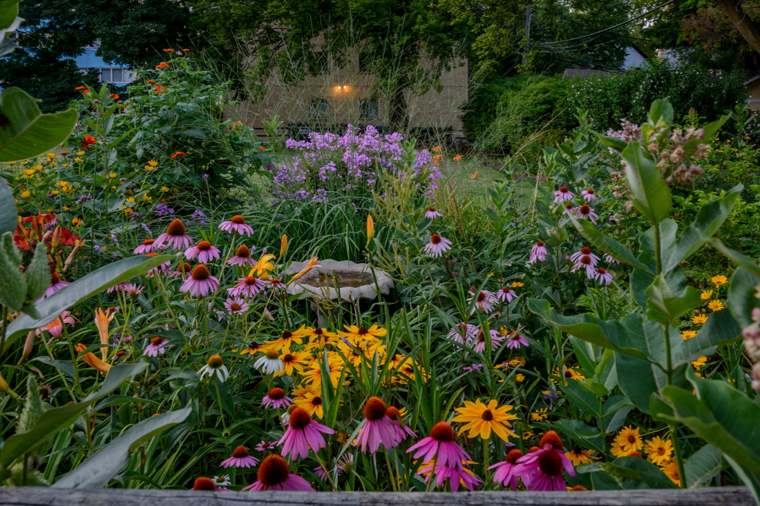 New Perennial Movement: Jardines que unen arte, ecología y belleza.