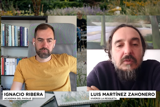 Luis Martínez Zahonero de Viveros La Resqueta habla sobre plantas vivaces y gramíneas en entrevista con Academia del Paisaje